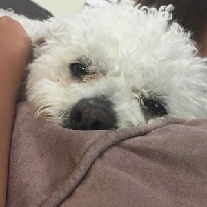 Meet your Posher, Christy